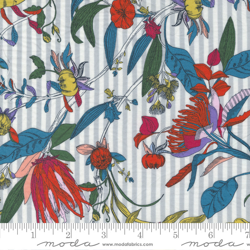 Jelly Roll 2.5" Strips - The Lookout - Moda