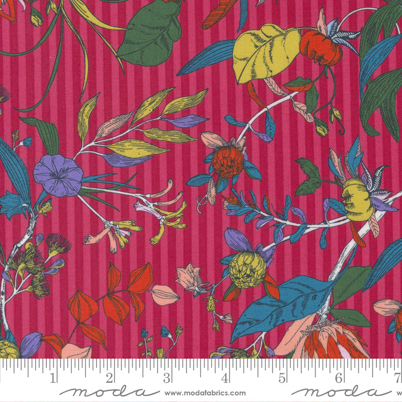 Jelly Roll 2.5" Strips - The Lookout - Moda