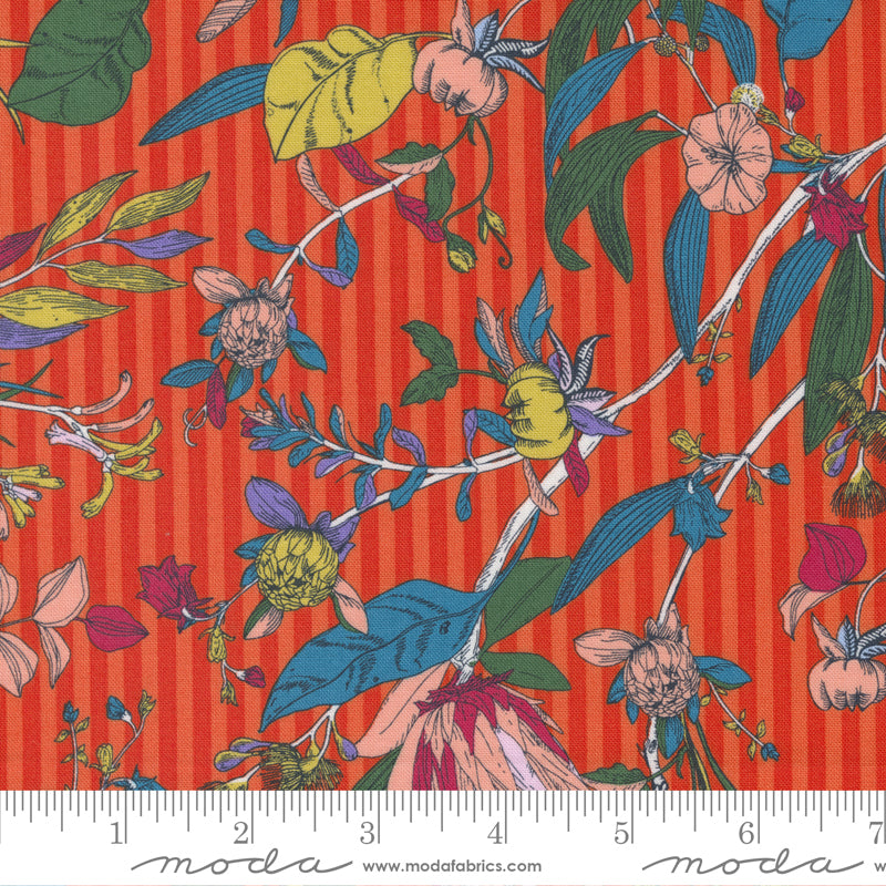 Jelly Roll 2.5" Strips - The Lookout - Moda