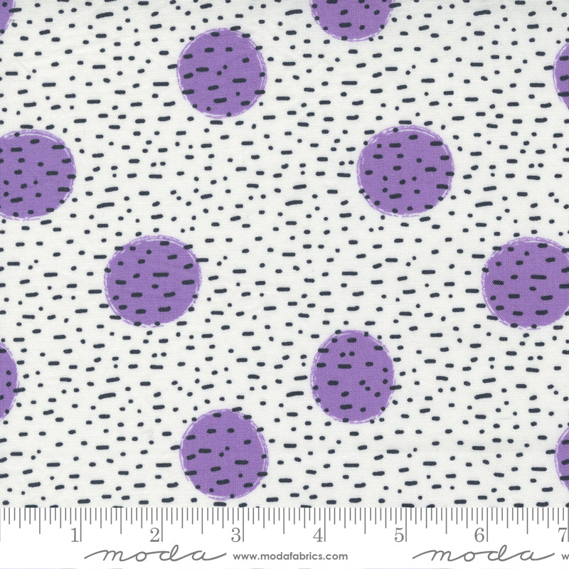 Jelly Roll 2.5" Strips - The Lookout - Moda