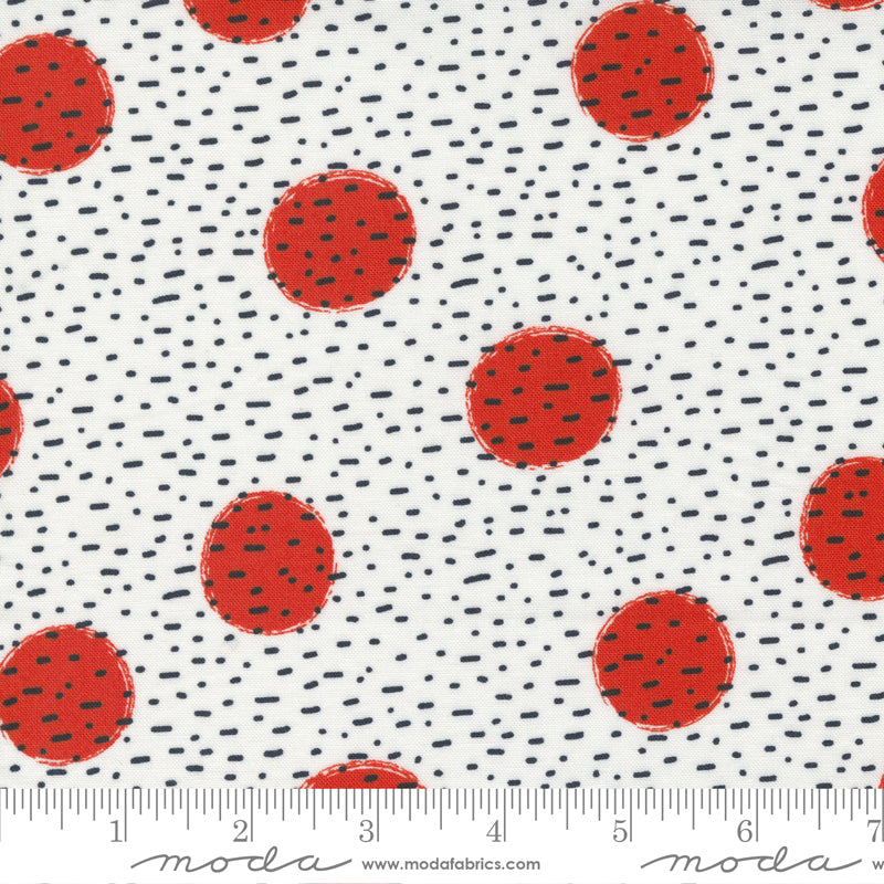 Jelly Roll 2.5" Strips - The Lookout - Moda