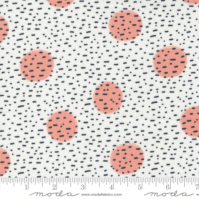 Jelly Roll 2.5" Strips - The Lookout - Moda
