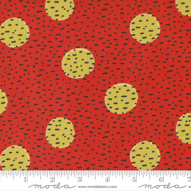 Jelly Roll 2.5" Strips - The Lookout - Moda