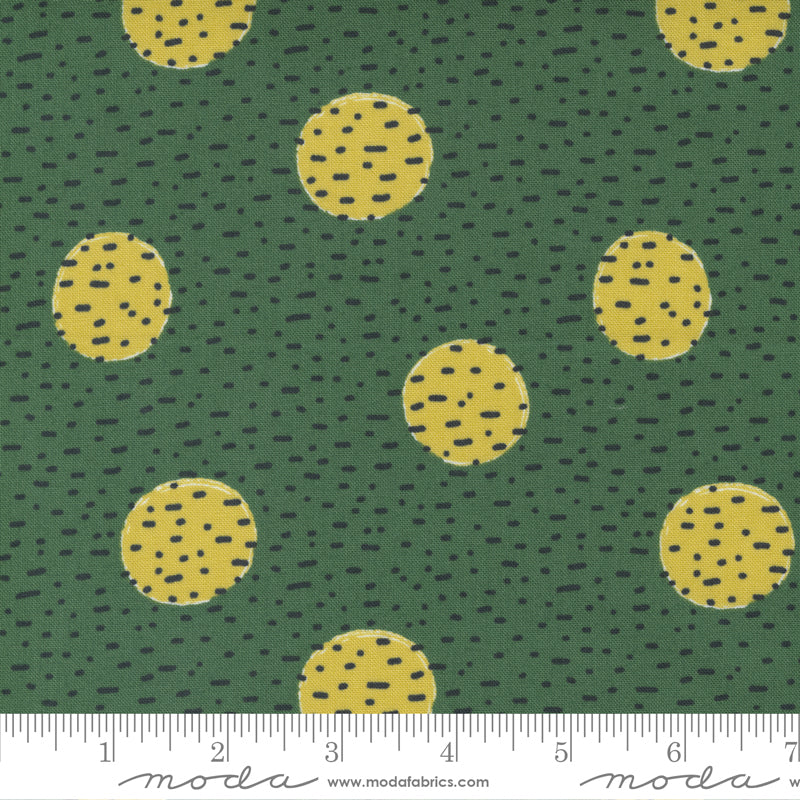 Jelly Roll 2.5" Strips - The Lookout - Moda