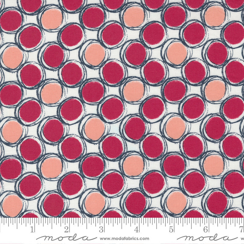 Jelly Roll 2.5" Strips - The Lookout - Moda