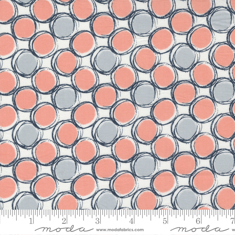 Jelly Roll 2.5" Strips - The Lookout - Moda