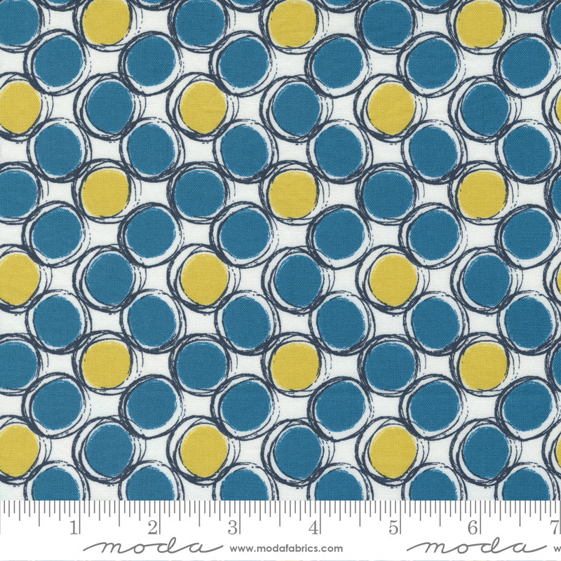 Jelly Roll 2.5" Strips - The Lookout - Moda