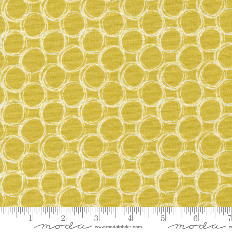 Jelly Roll 2.5" Strips - The Lookout - Moda