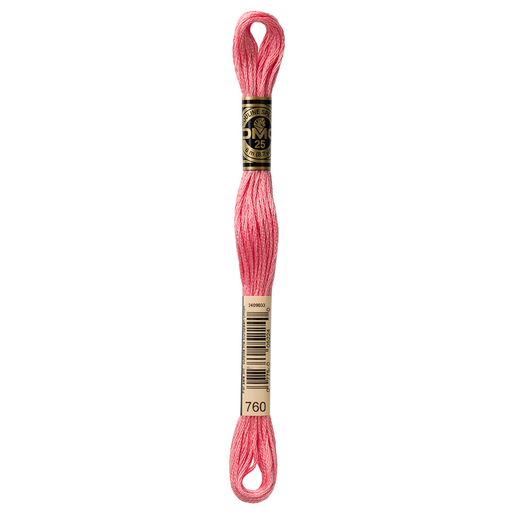 DMC Cotton 6 Strand Floss 8m - 760