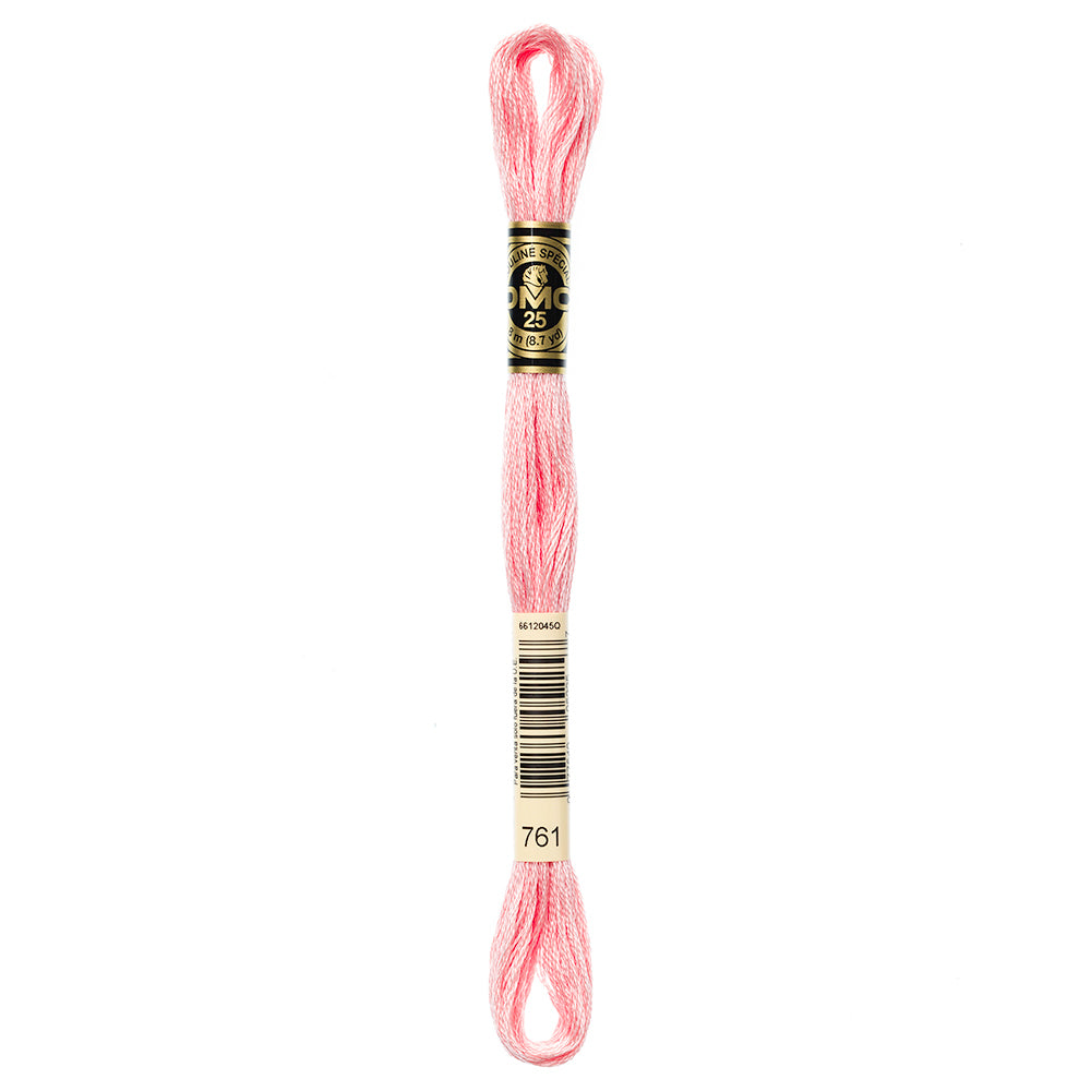 DMC Cotton 6 Strand Floss 8m - 761