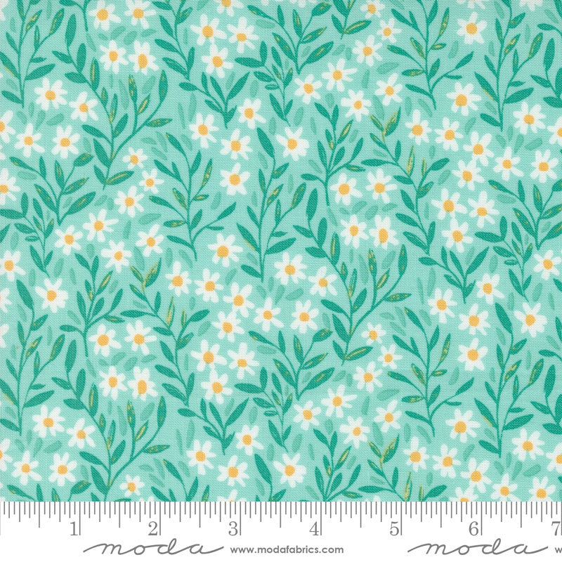 1CANOE2 Kindred - Aqua Marguerite - Moda