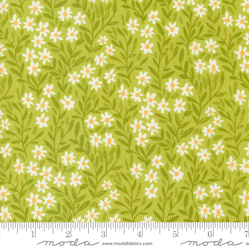 1CANOE2 Kindred - Meadow Daisy - Moda