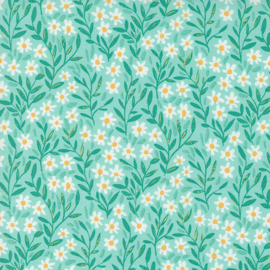 1CANOE2 Kindred - Aqua Marguerite - Moda