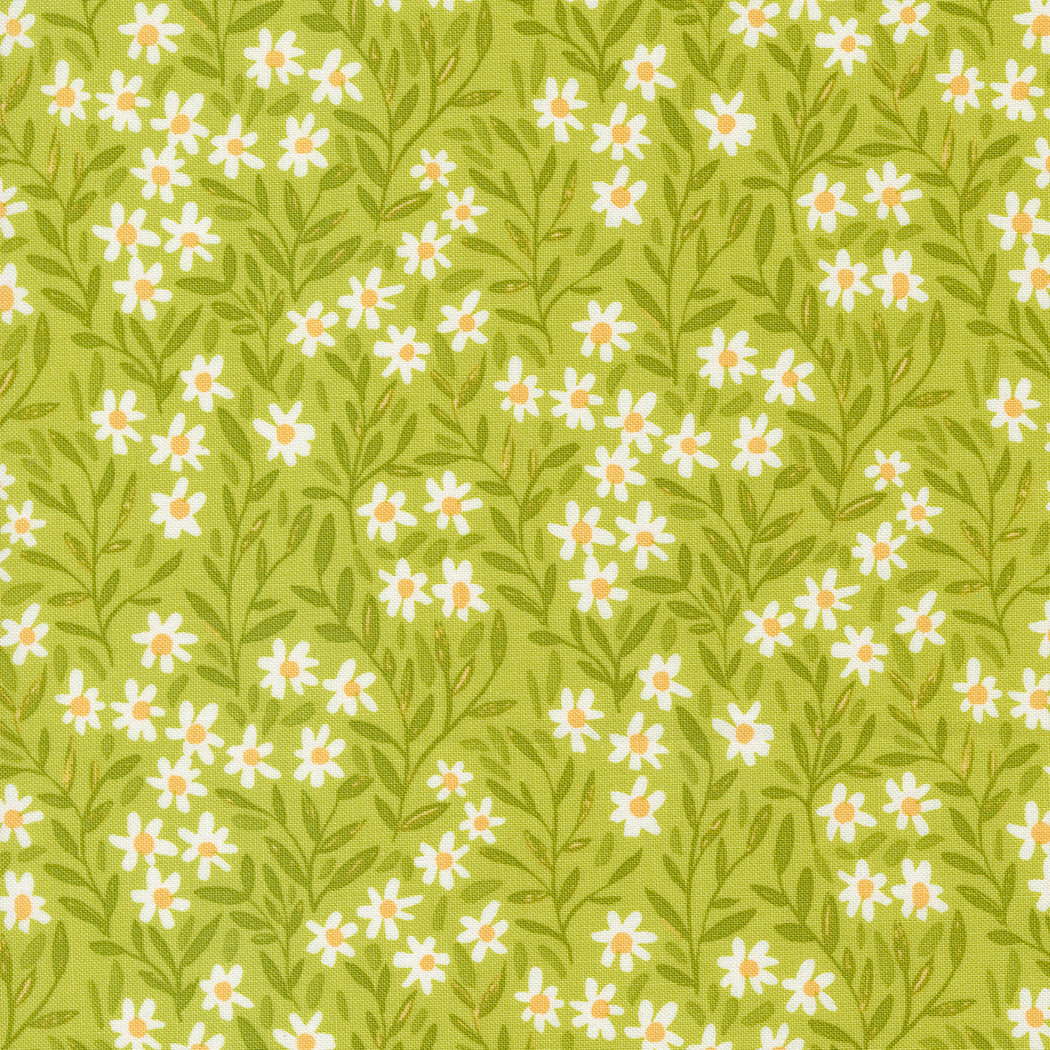 1CANOE2 Kindred - Meadow Daisy - Moda