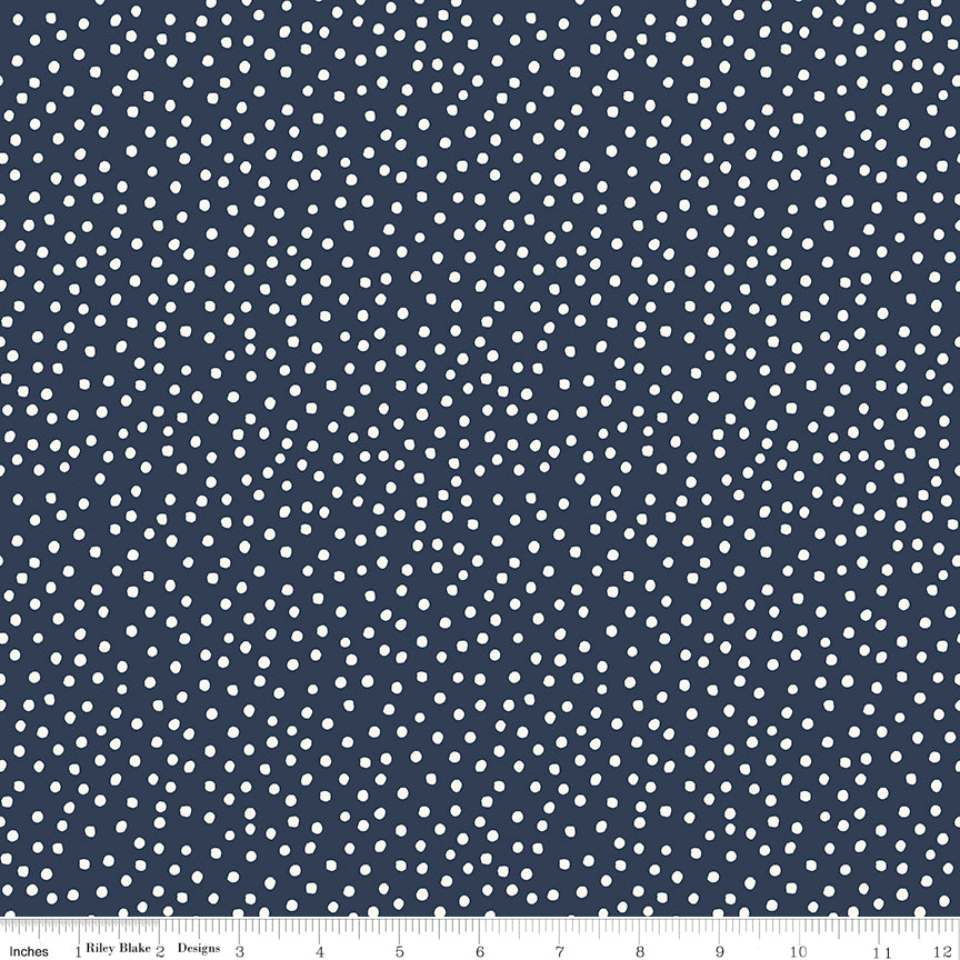 Fat Quarter Whole Collection Bundle - Gingham Foundry - Riley Blake Designs