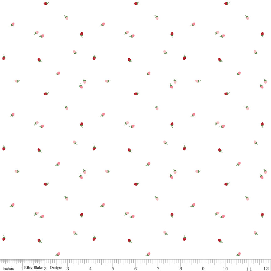To Grandmother's House - Fat Quarters - Riley Blake Designs