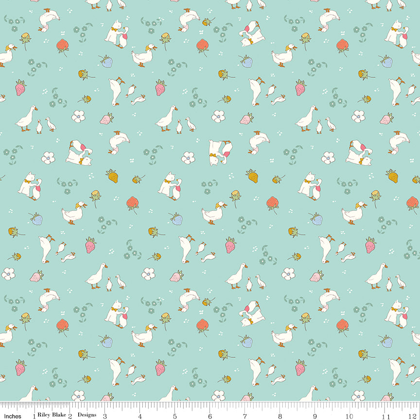**PRÉCOMMANDE** Ashmere - Friends (Songbird) - Minki Kim (Riley Blake Designs)