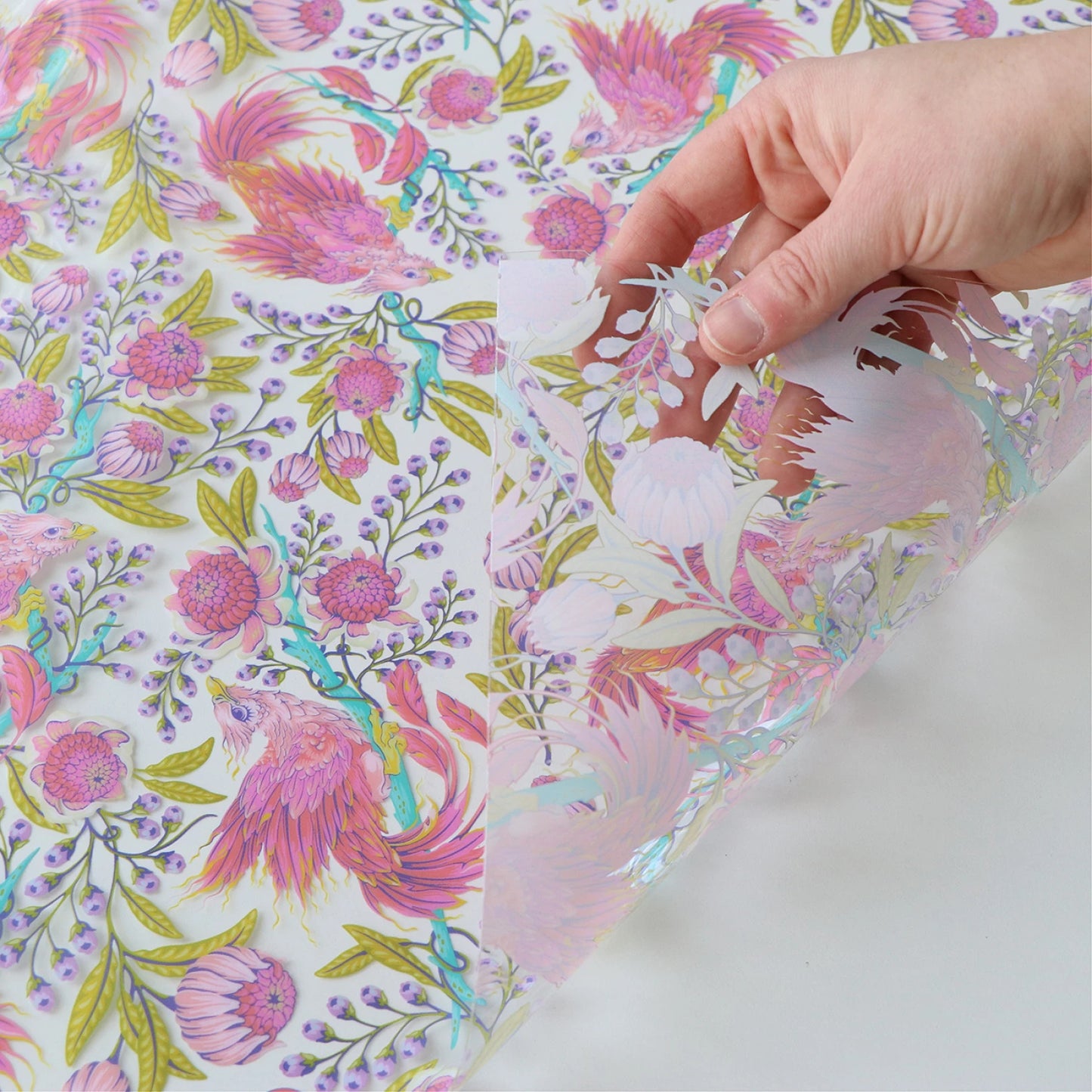**PRÉCOMMANDE** TPU TRANSPARENT Collection Legendary Tula Pink : Hot Wings (Vendu par 1/2 VERGE OU EN CONTINU)