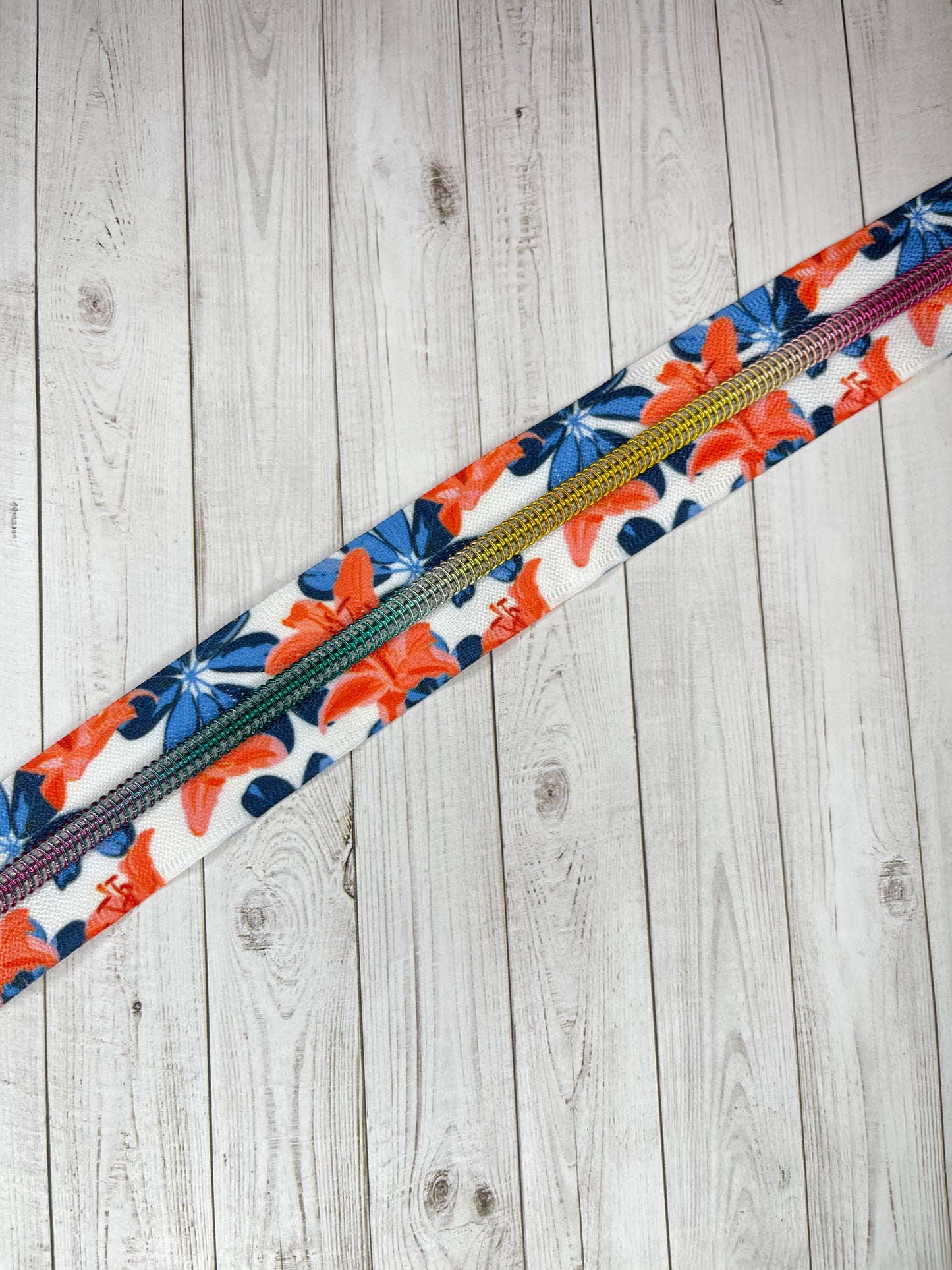 Orange Blue Lillies - Rainbow Zipper Tape # 5 Zipper (1 Meter)