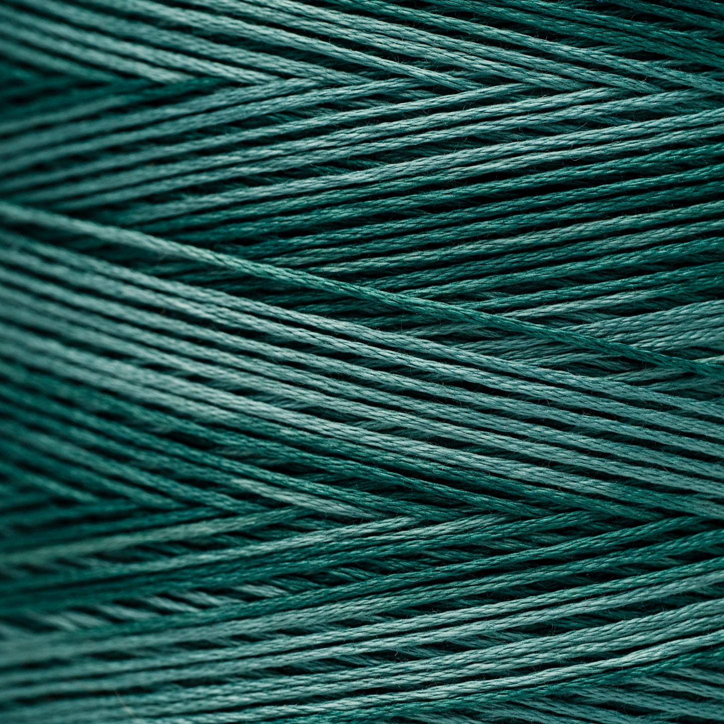 2153 Cypress - Weeks Dye Works 6-Strand Floss