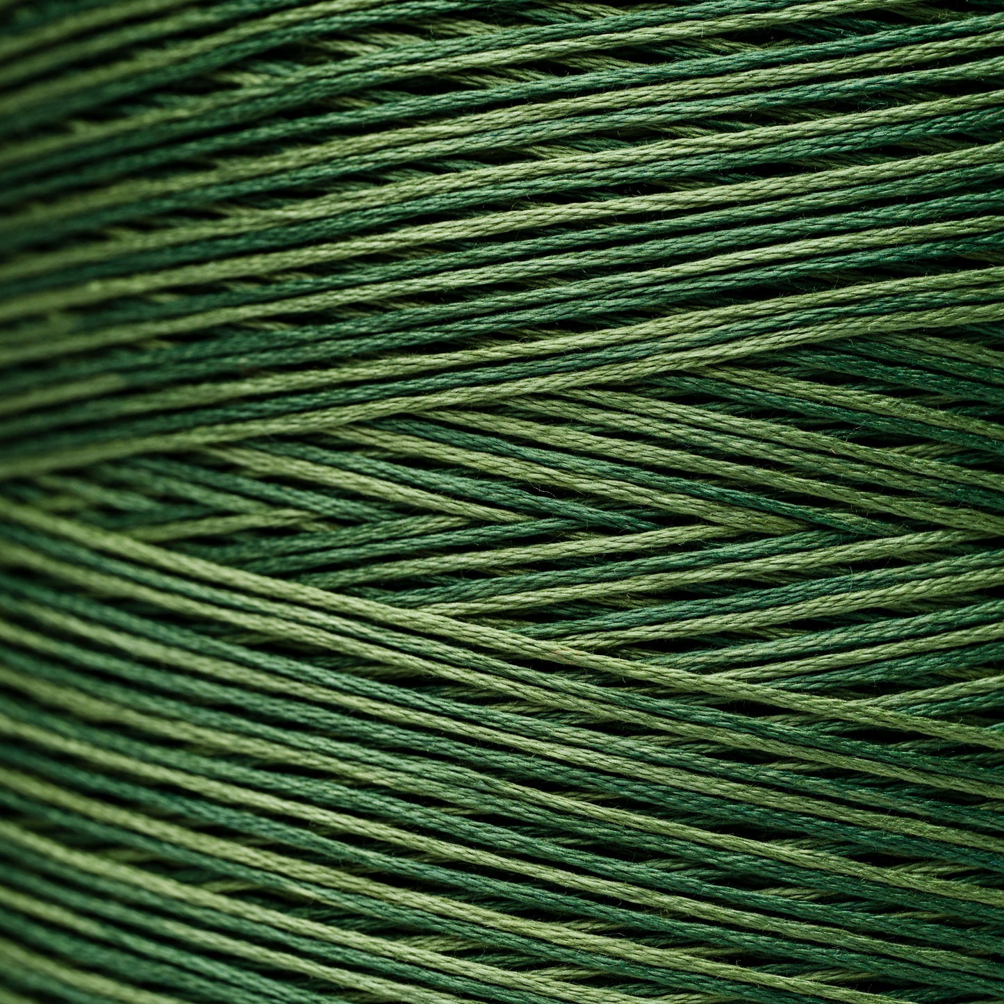 2168 Monkey Green - Weeks Dye Works 6-Strand Floss