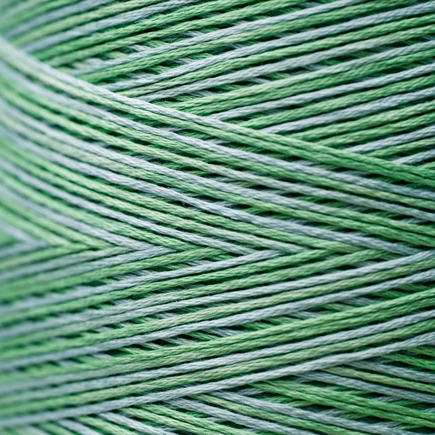 2181 Cactus - Weeks Dye Works 6-Strand Floss