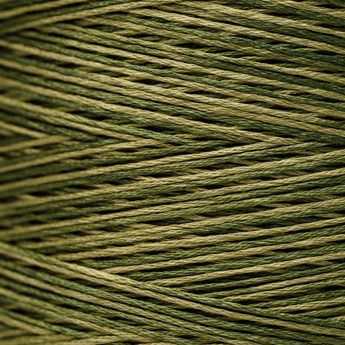 2195 Grassland - Weeks Dye Works 6-Strand Floss