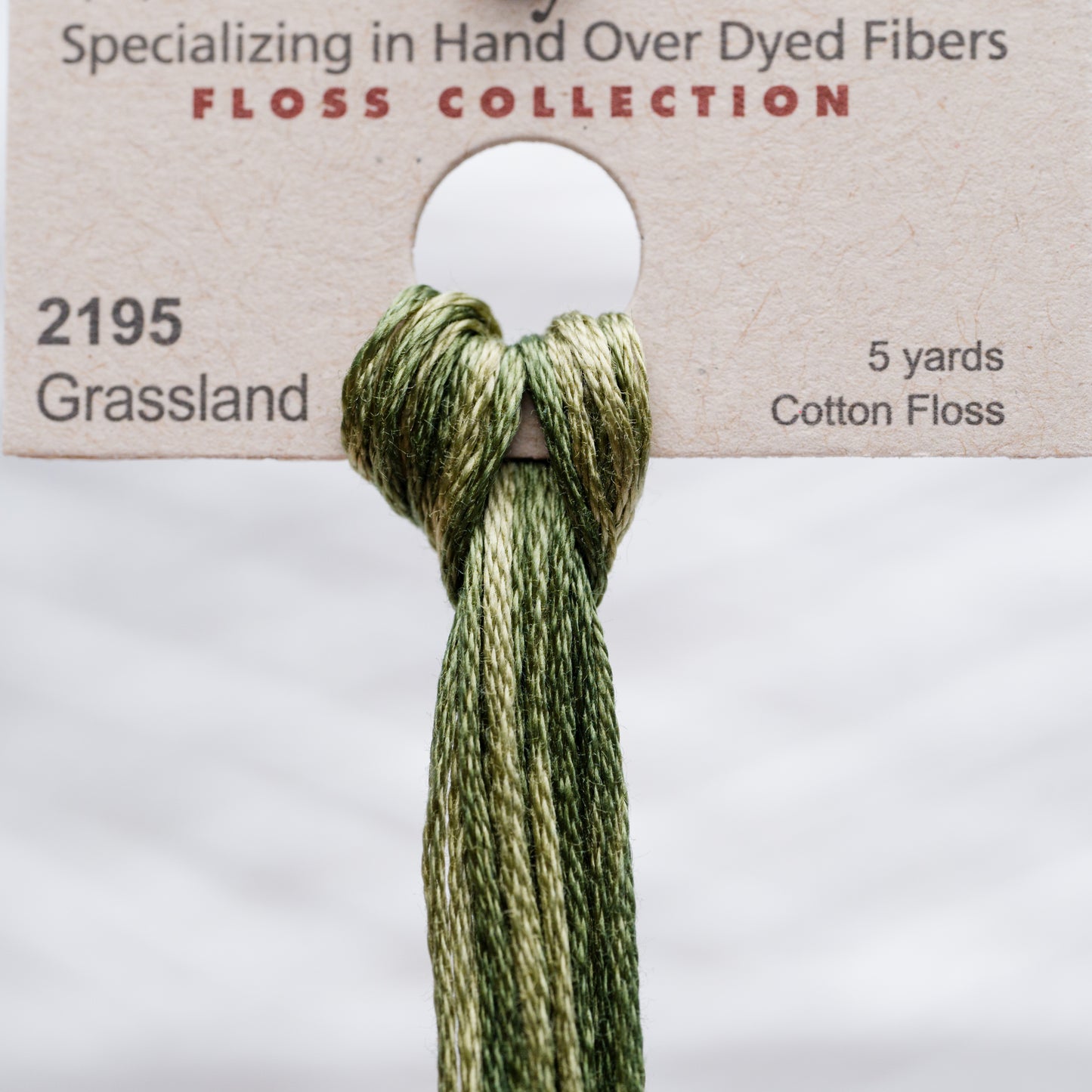 2195 Grassland - Weeks Dye Works 6-Strand Floss