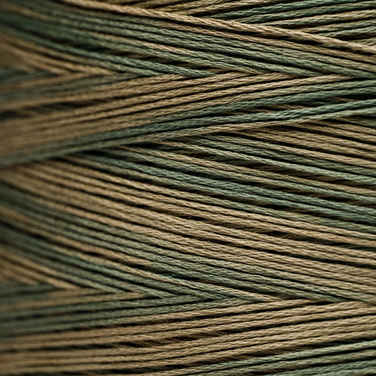 2199 Tarragon - Weeks Dye Works 6-Strand Floss