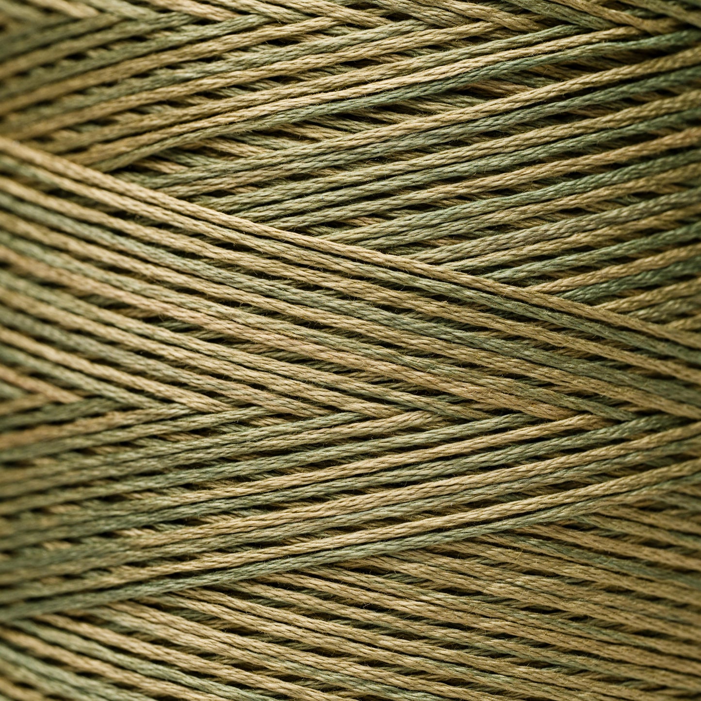 2200 Kudzu - Weeks Dye Works 6-Strand Floss