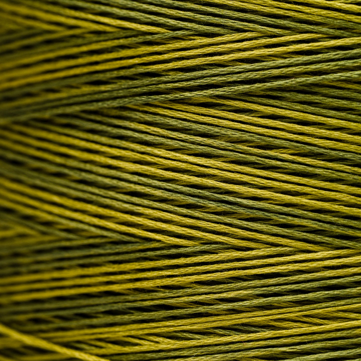 2201 Moss - Weeks Dye Works 6-Strand Floss