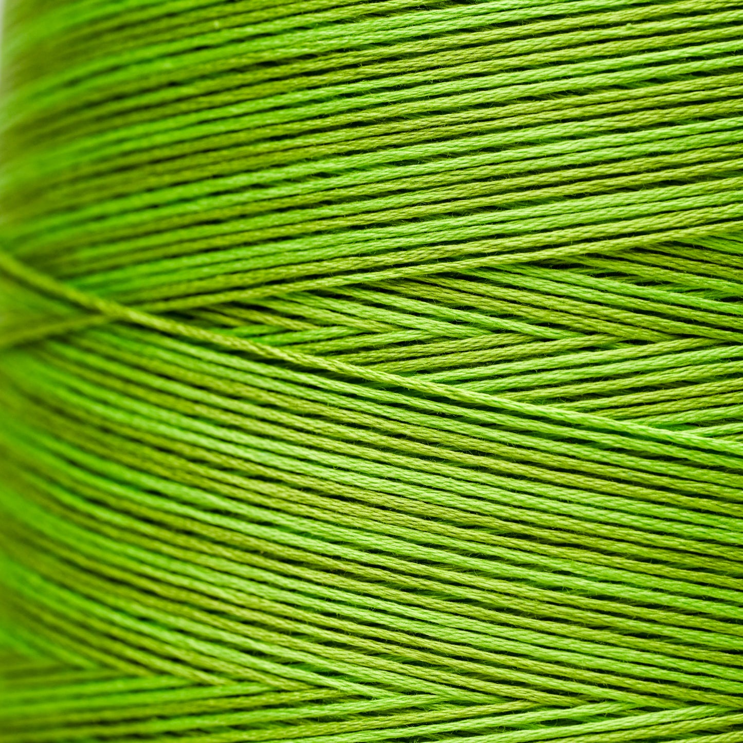 2204a Paris Green - Weeks Dye Works 6-Strand Floss