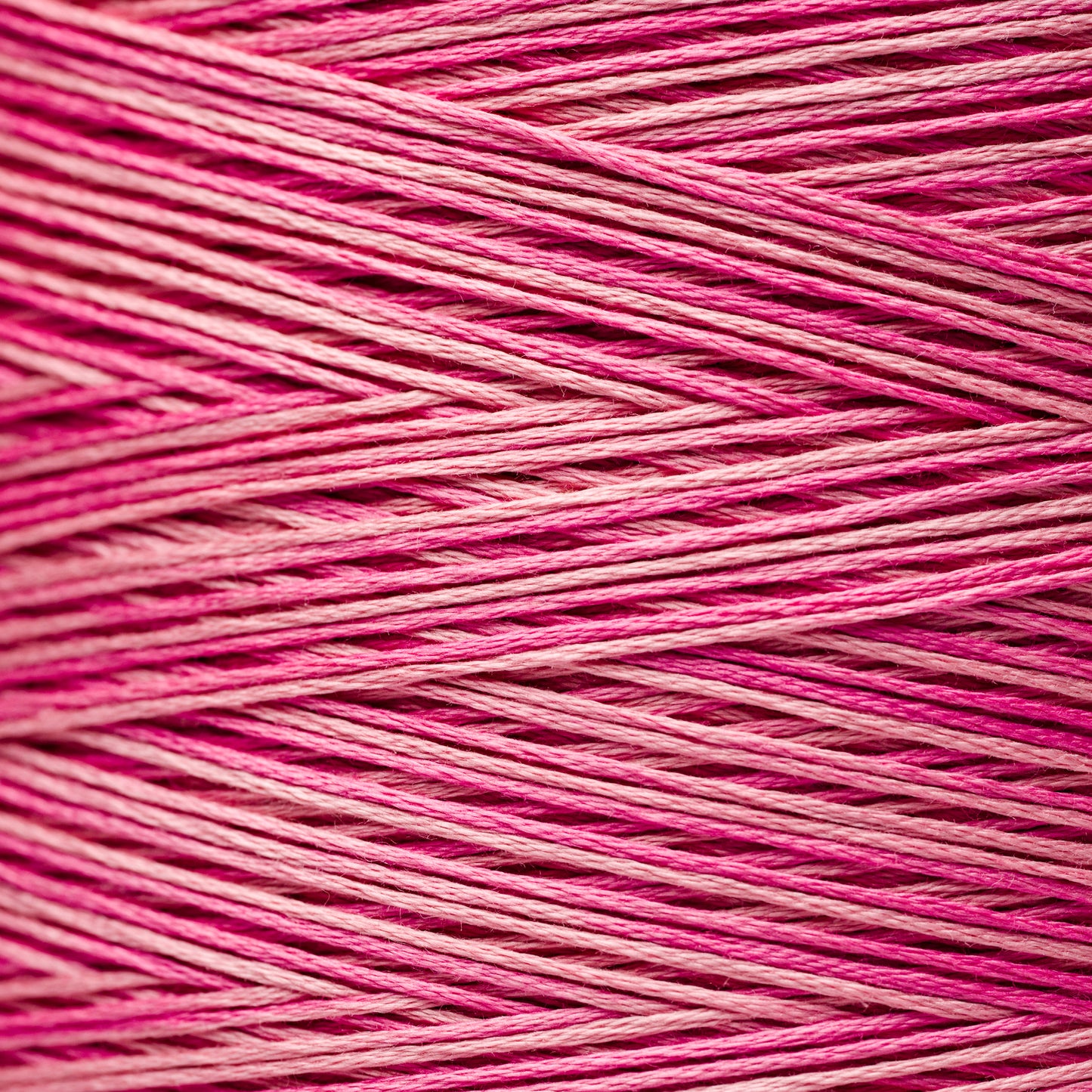 2276 Camellia - Weeks Dye Works 6-Strand Floss