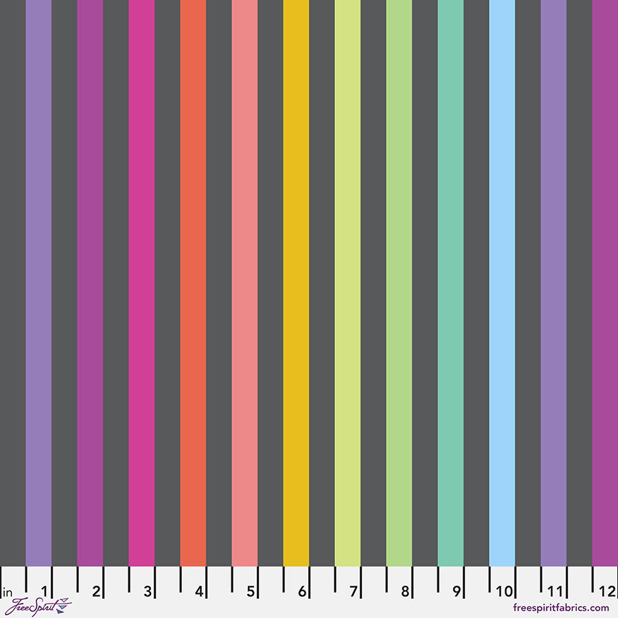 **PRÉCOMMANDE** Tula Pink - Graywork True Colors - Disco Stripe (Carbon)