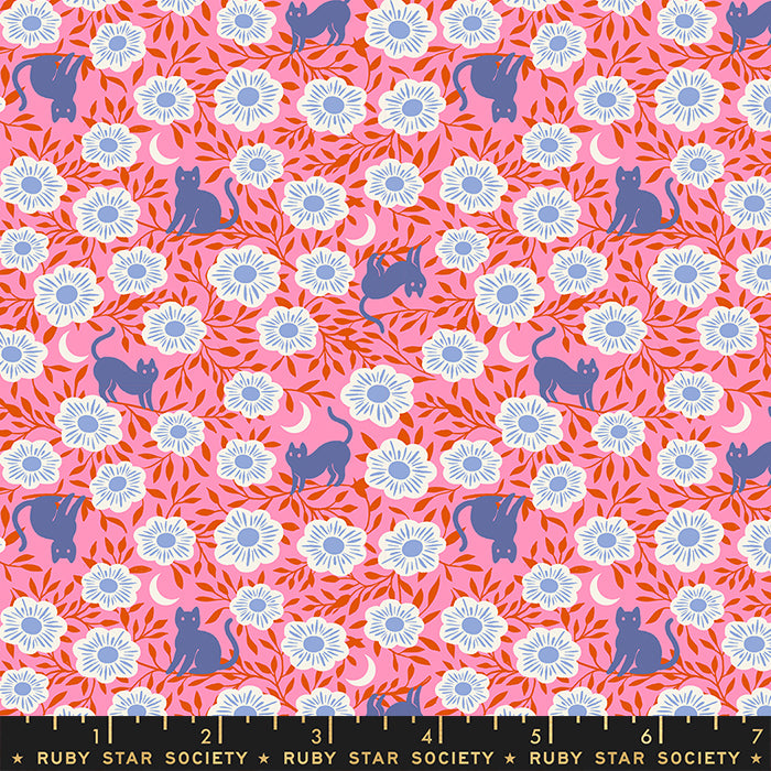 Backyard - Hiding Cat Flamingo - Ruby Star Society
