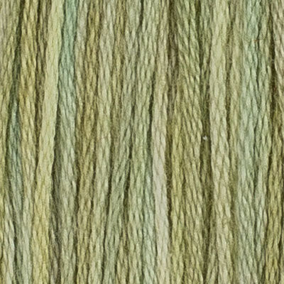 06 Privet - Mouliné 2x5m - House Of Embroidery