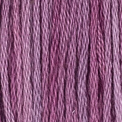 63 Clematis - Embroidery Floss 2x5m - House Of Embroidery