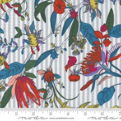 Jelly Roll 2.5" Strips - The Lookout - Moda
