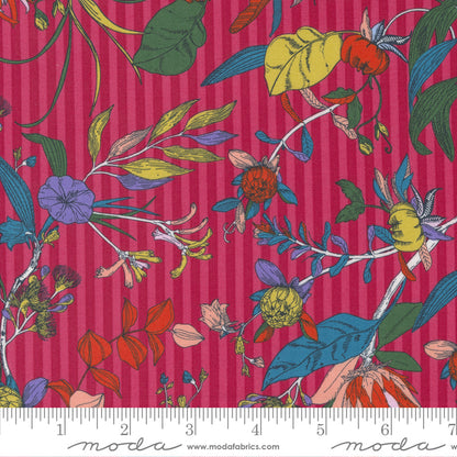 Jelly Roll 2.5" Strips - The Lookout - Moda