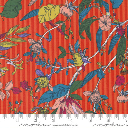 Jelly Roll 2.5" Strips - The Lookout - Moda