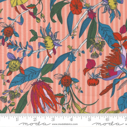 Jelly Roll 2.5" Strips - The Lookout - Moda