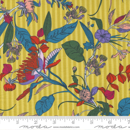 Jelly Roll 2.5" Strips - The Lookout - Moda