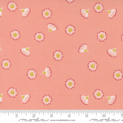Jelly Roll 2.5" Strips - The Lookout - Moda