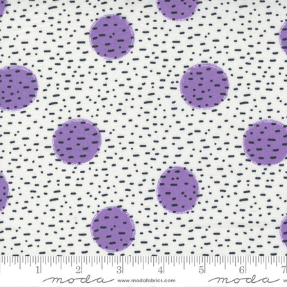 Jelly Roll 2.5" Strips - The Lookout - Moda