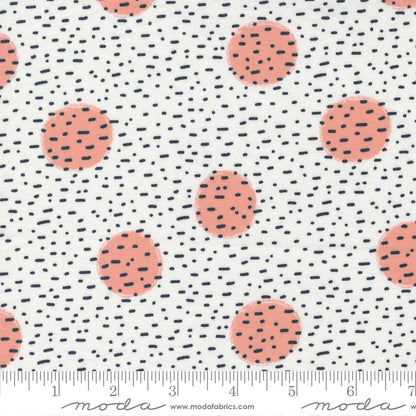 Jelly Roll 2.5" Strips - The Lookout - Moda