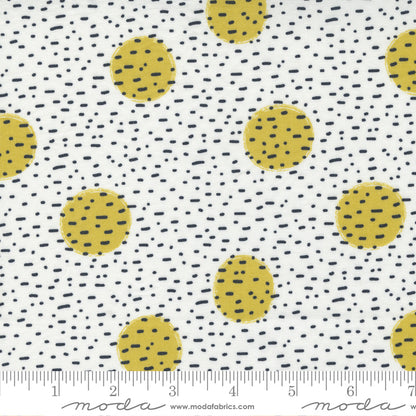 Jelly Roll 2.5" Strips - The Lookout - Moda