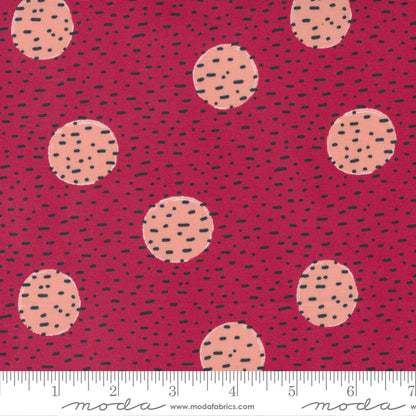Jelly Roll 2.5" Strips - The Lookout - Moda