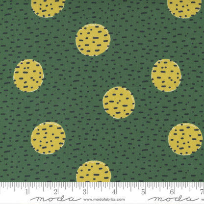 Jelly Roll 2.5" Strips - The Lookout - Moda