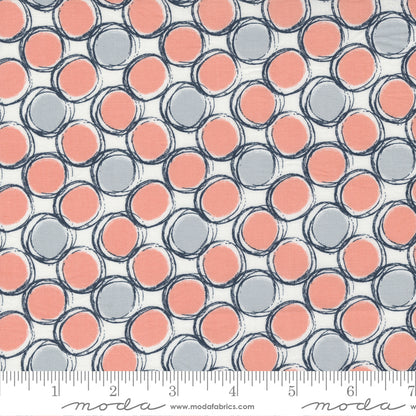 Jelly Roll 2.5" Strips - The Lookout - Moda