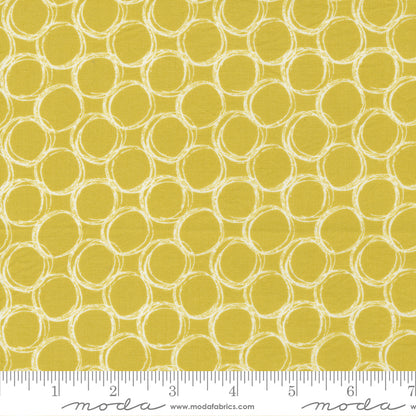 Jelly Roll 2.5" Strips - The Lookout - Moda